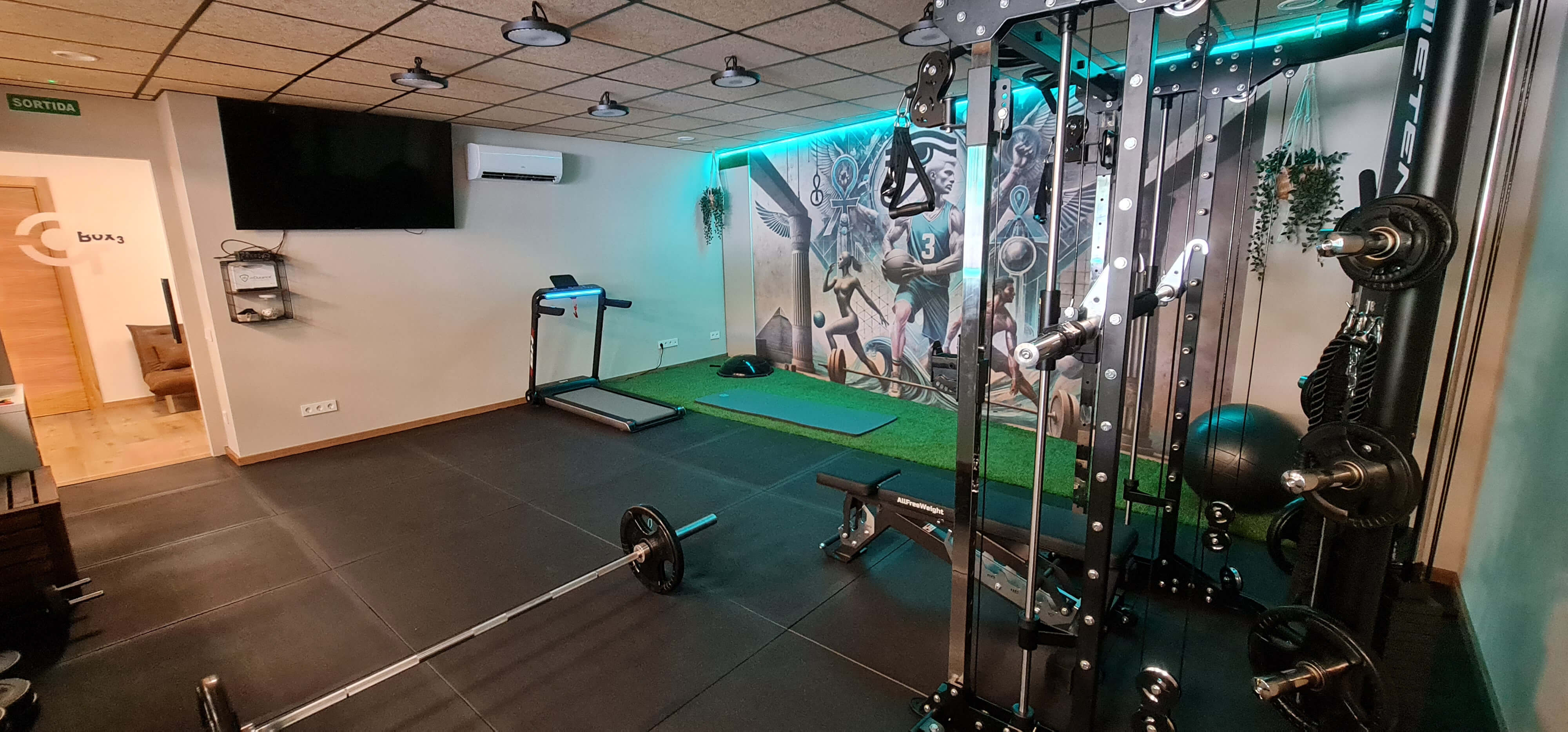 gimnasio-2025